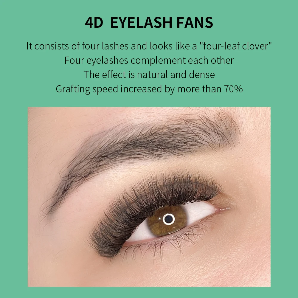 GLAMLASH 4D W Shape Eyelash Ex – Eyelash Extension For Asian Eyes recenzja i cena